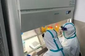 我的专业，可以为抗疫做些什么？图片