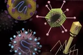 一再被颠覆！这个历经41年才完成的研究，关乎人类生存图片