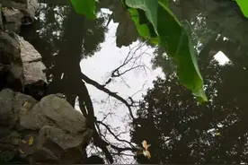 久违的一场约会图片