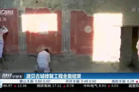 庞贝古城修复工程全面结束视频封面