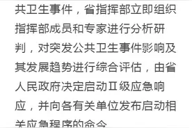 重大突发公共卫生事件应急响应级别图片