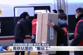 武汉有我！高铁站里的“搬运工”图片