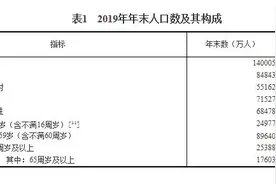 2019年中国人口总数统计数据表 中国人口年龄段分布有哪些特点图片