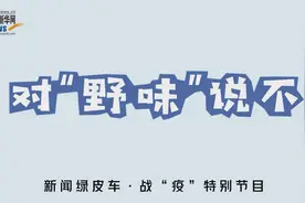 新闻绿皮车·战“疫”特别节目｜对“野味”说不视频封面
