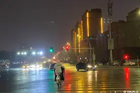春夜喜雨！聊城街头夜幕中尽显雨中浪漫图片
