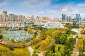 碧云天，黄叶地，佛山街头秋去春来！这是我们生机勃勃的佛山图片