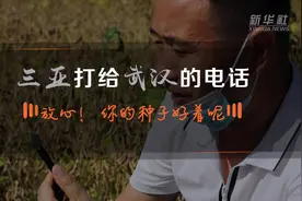 三亚打给武汉的电话：放心！你的种子好着呢视频封面