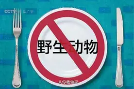 公益广告，关注公众利益图片