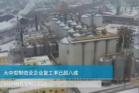 中国财富报道|大中型制造业企业复工率已超八成  3月PMI有望明显回升视频封面