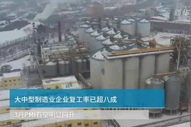 中国财富报道|大中型制造业企业复工率已超八成  3月PMI有望明显回升视频封面