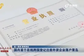 国内首个在线跨国登记注册外资企业落户青岛视频封面