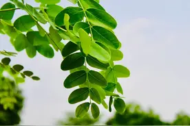 “翻开新篇章”用英语怎么说？图片