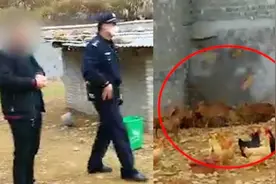 男子缓刑期间，非法收购养殖25只黄麂视频封面