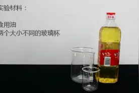 科学实验课⑨| 用“科学”充实超长寒假之“隐身术”图片