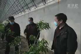 吉林：大棚复工农事忙视频封面