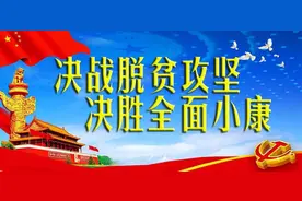 昭通昭阳：红玫瑰葡萄甜醉了龙山寨的夏天！图片