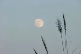 夜听｜说话的分寸，就是做人的分寸图片