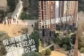 假的就是假的，真实的声音最有力图片