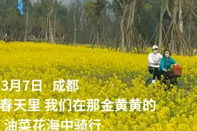 30秒｜春天里 我们在那金黄黄的油菜花海中骑行视频封面