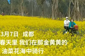 30秒｜春天里 我们在那金黄黄的油菜花海中骑行视频封面