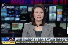上海国际旅游度假区：购物村已开门迎客  部分景点下周开放视频封面