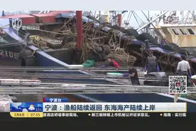 渔船返回！浙江奉化桐照码头开始繁忙，复渔后东海海产品陆续上岸视频封面