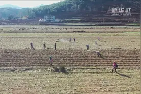 力春耕｜贵州威宁：乌蒙大地春来早 万台农机战春耕视频封面