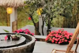三姐故事农庄复业了 | 爆改之后，这样的田园小院是你向往的生活吗？图片