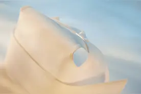 剪短发的“天使”图片