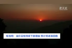 财富连线｜桂浩明：油价没有持续下跌理由，预计将逐渐回稳视频封面