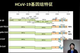 武汉病毒所石正丽：新冠病毒绝非人造视频封面
