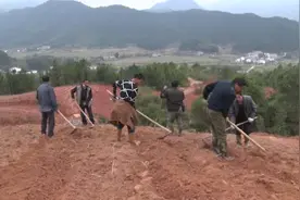 防疫春耕两不误，500亩荒山开垦成果园视频封面
