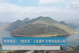 贵州普定：“桃花岛”上花盛开 芳香四溢满人间视频封面