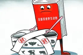 法律对食用野生动物加重处罚图片