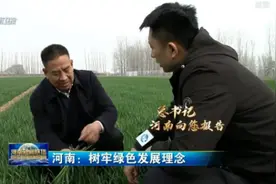 河南：树牢绿色发展理念图片