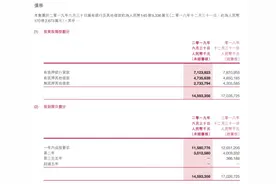 中民投旗下亿达中国延期交换美元债，将卖核心项目改善现金流图片