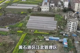 黄石这个特殊的地方，疫情防控原来是这样做的…图片