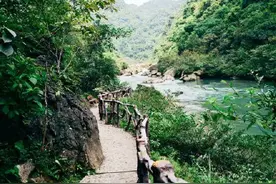 春风袭来，花海涌动，央视镜头下的环江春意盎然图片