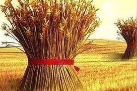 农业政策性金融是一种怎么样的存在——国内外机构组织架构比较篇图片
