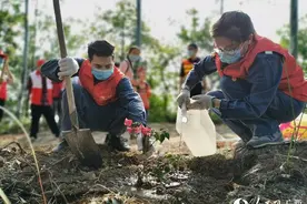 战“疫”之下 共建绿色美好家园图片