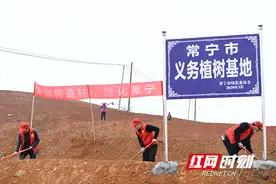 常宁：迎春种下油茶树 共盼来年茶油香图片