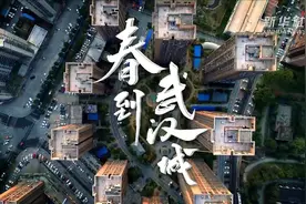 微纪录片｜春到武汉城视频封面