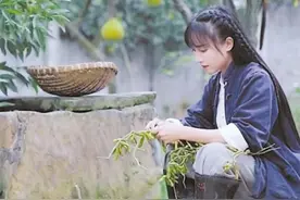 李子柒为啥能在海外“圈粉”图片