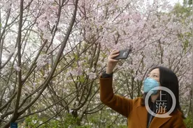 南山植物园恢复开园 满园春色等你来图片