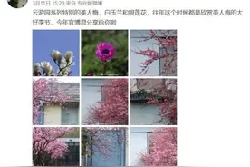 快讯！合肥植物园即将开园图片