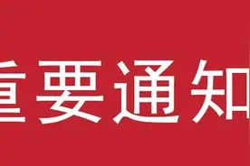 2020年金乡县事业单位“优才计划”公告图片