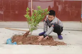 赫山区泥江口镇中心学校：我和春天合个影图片