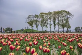 免门票免观光车票！良渚古城遗址公园即日起到五一前，面向全国免费开放图片
