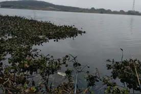 故地重游，山青水绿，岂不快哉！？空军又如何图片