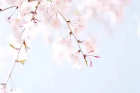 【妇产科普】助产士教您如何 “越过恐惧 安心待产~”图片